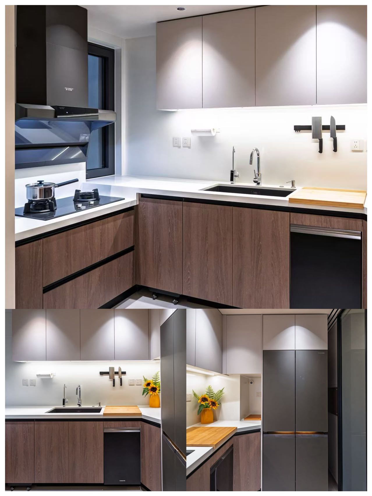 罗克尼.jpg 罗克尼.jpg